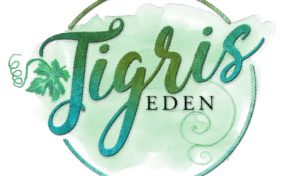 Flash Sale: Ember only 99 cents starting Friday, June 20th-June 23rd